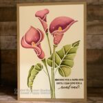 Cala lily stamp image colour