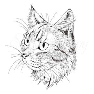 Cat Stamp
