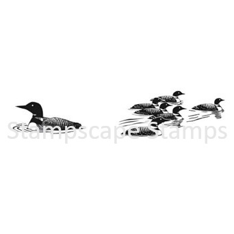 Duck stamps