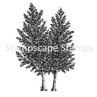 Quaking Aspen