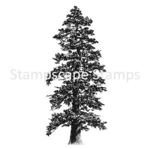 Twisting Pine