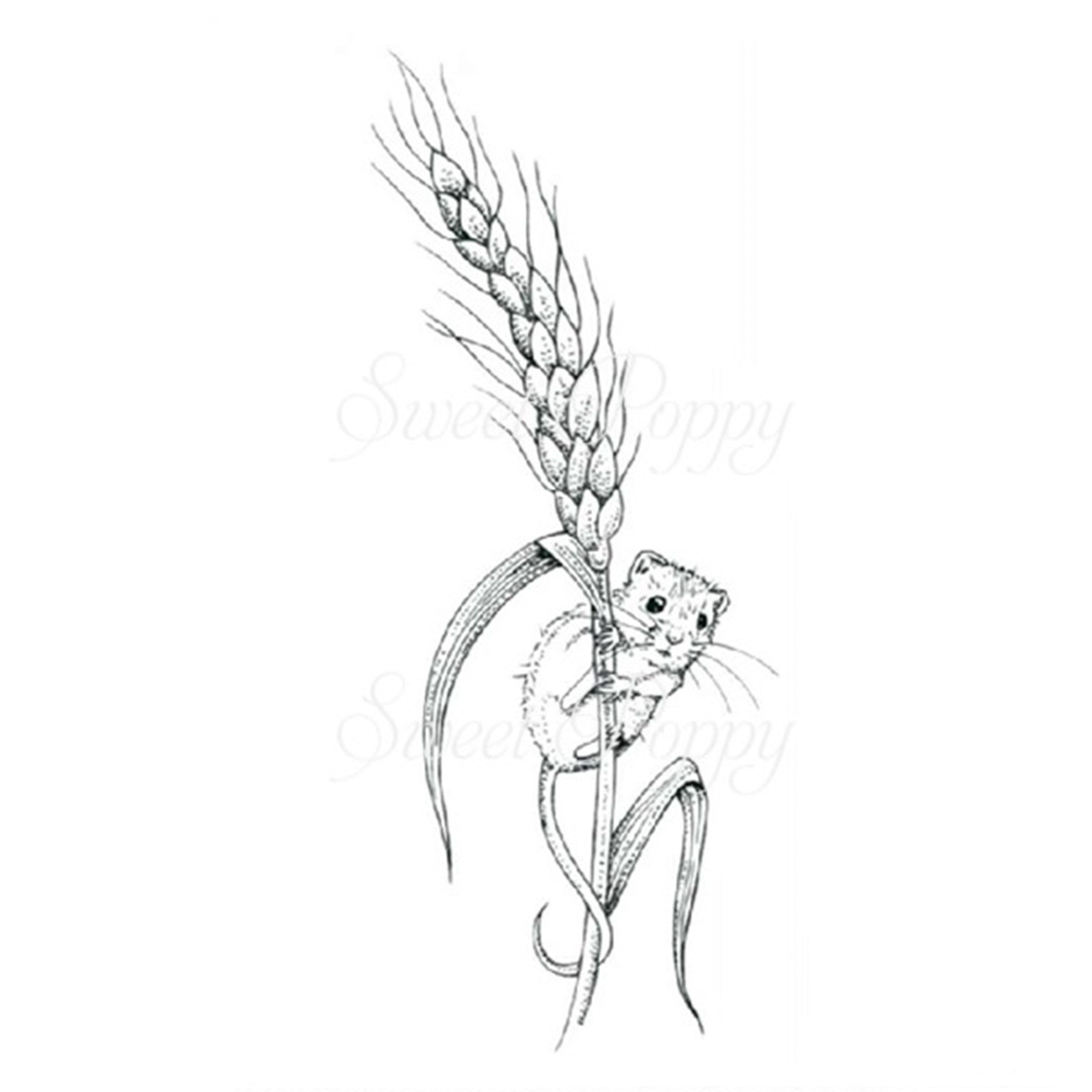 Mouse on Wheat