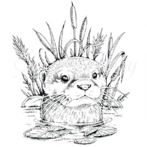 Otter Stamp