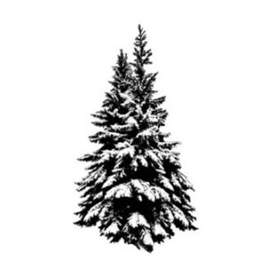 Snowy Trees Medium