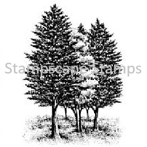 Tree Cluster Large