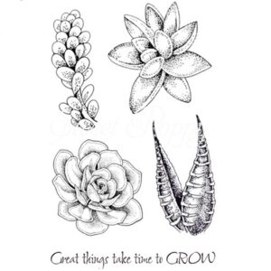 Succulents Stamp Set