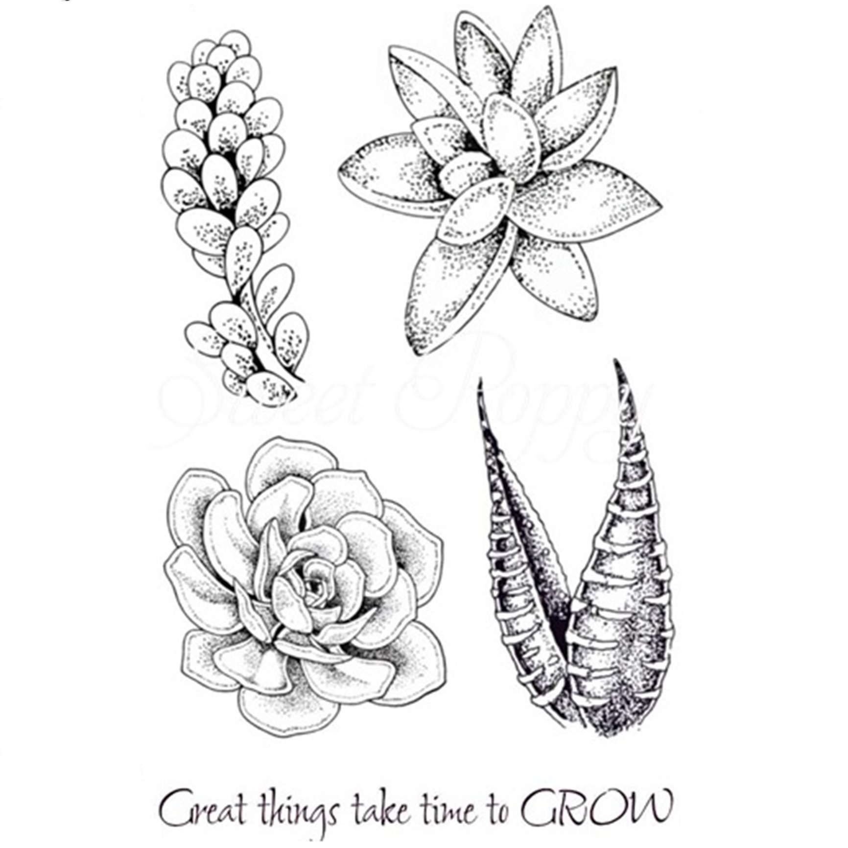 Succulents Stamp Set