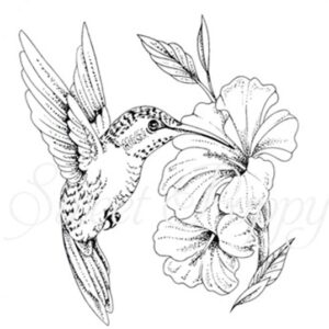 Hummingbird Stamp