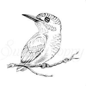 Kingfisher Stamp