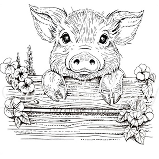 Pig Stamp