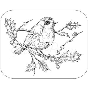 Robin Stamp *** NEW ***